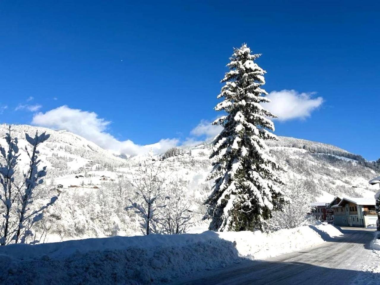 Penthouse Julia Naehe Badesee Mit Infrarotsauna -Zell Am See Kaprun Niedernsill Εξωτερικό φωτογραφία