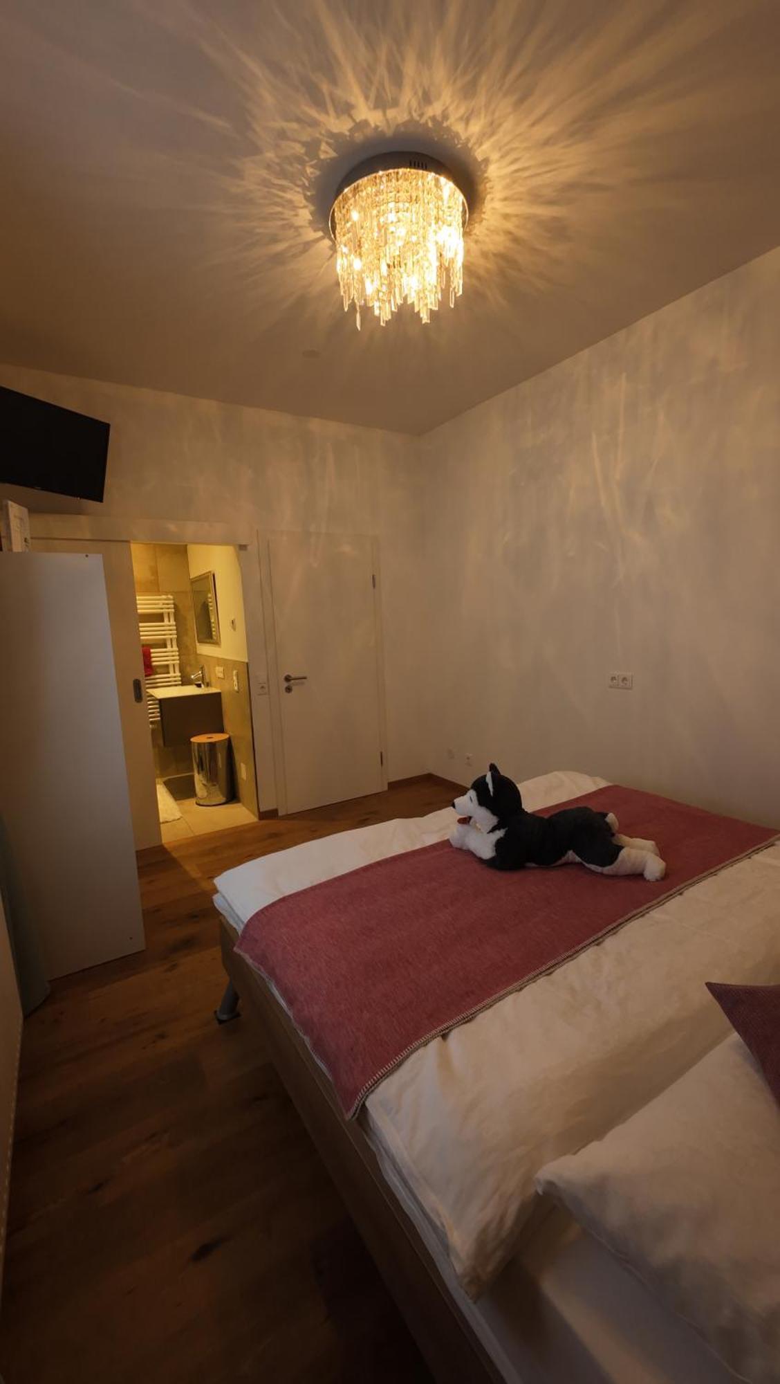 Penthouse Julia Naehe Badesee Mit Infrarotsauna -Zell Am See Kaprun Niedernsill Εξωτερικό φωτογραφία